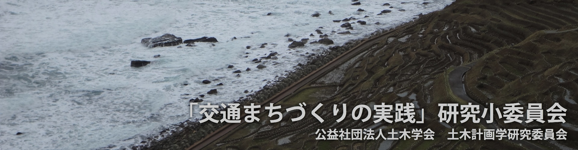 「交通まちづくりの実践」研究小委員会